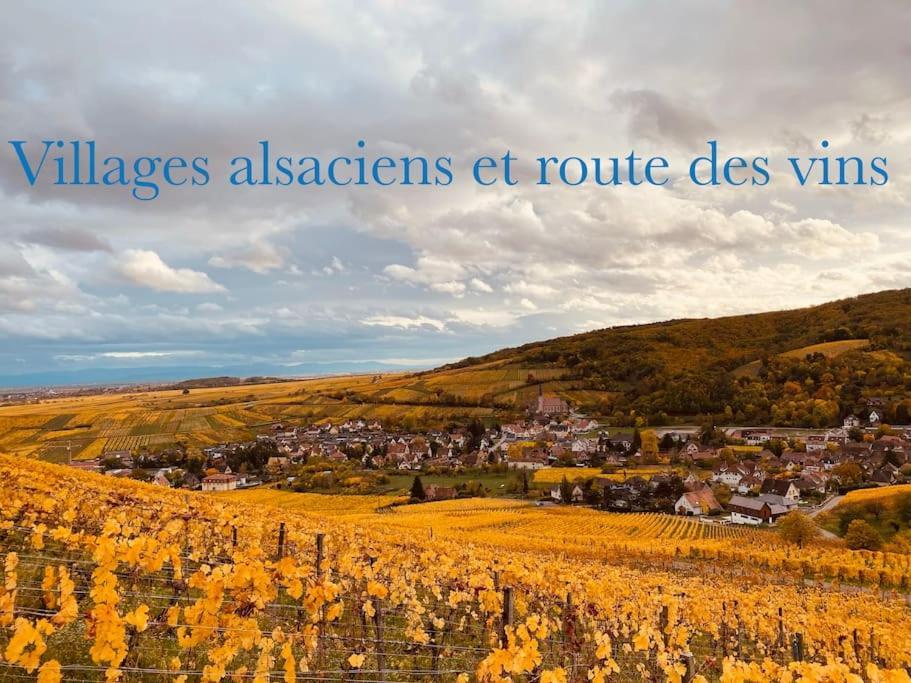 New L'Industr'Ill Au Coeur De L'Alsace Διαμέρισμα Sélestat Εξωτερικό φωτογραφία