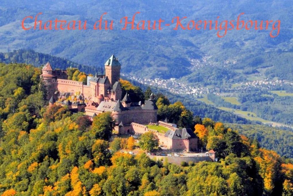 New L'Industr'Ill Au Coeur De L'Alsace Διαμέρισμα Sélestat Εξωτερικό φωτογραφία